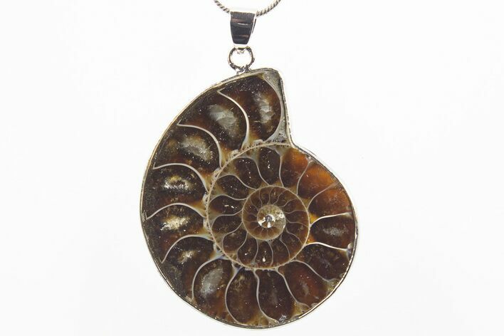 Fossil Ammonite Pendant - Million Years Old #306382